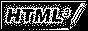 HTML 3