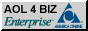AOL 4 BIZ Enterprise, America Online