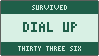 SURVIVED / DIAL UP / THIRTY THREE SIX